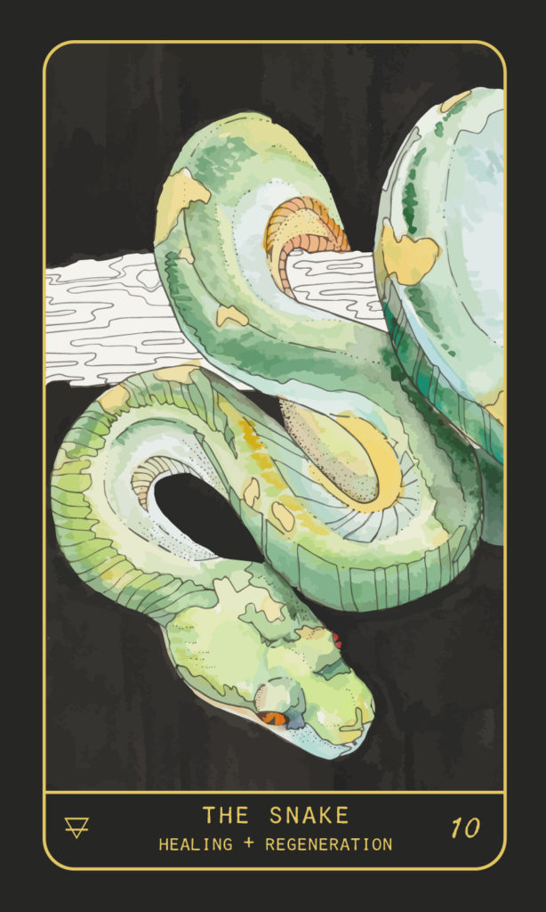 Snake Oracle Card