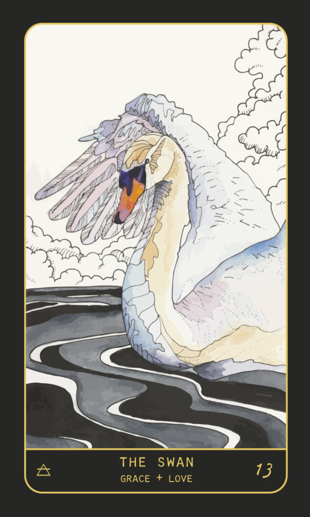 Swan Oracle Card