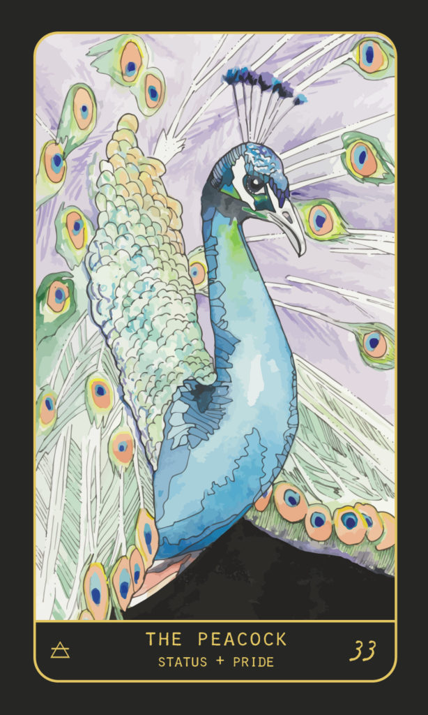 Peacock Oracle Card