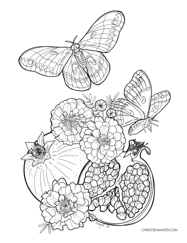 Preview | Silk Moth Coloring Page