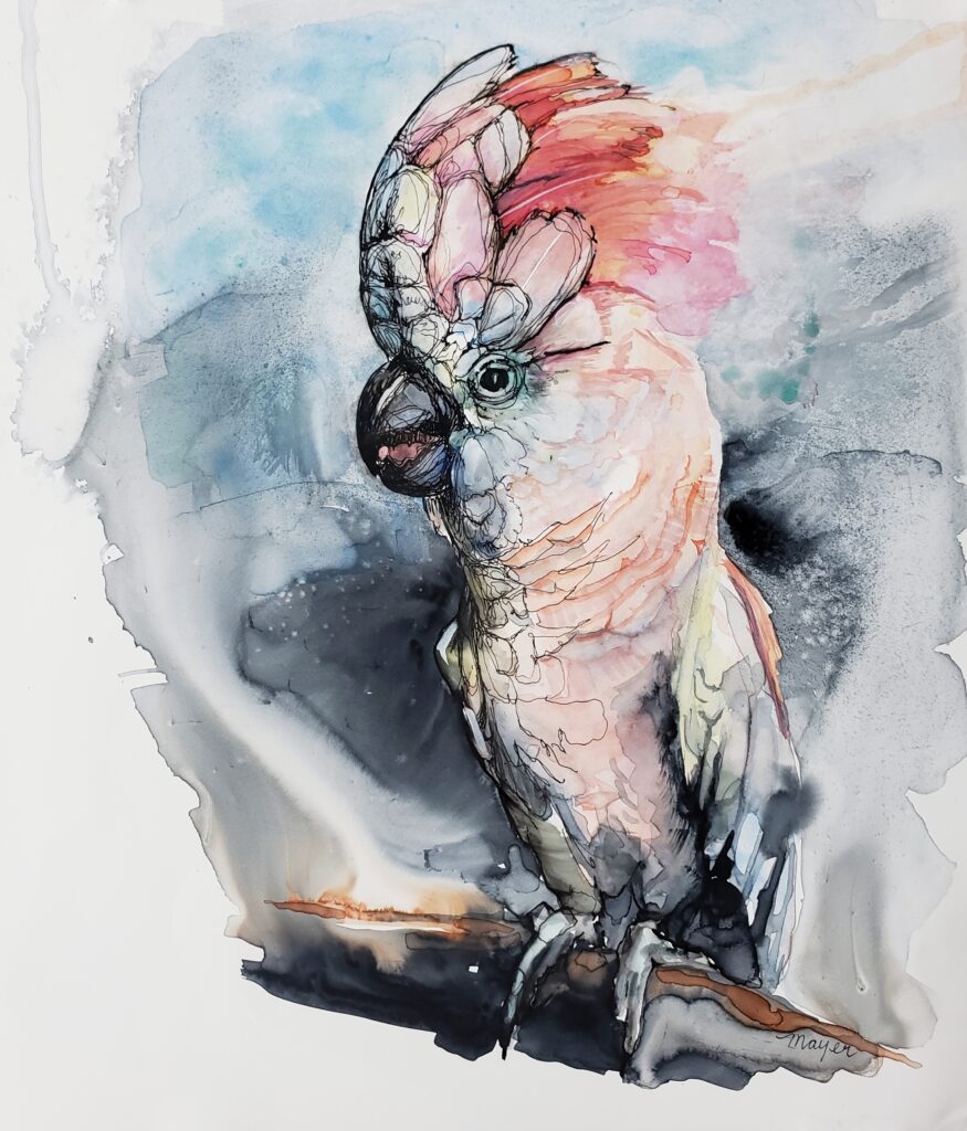 Cockatoo in Watercolor and Ink