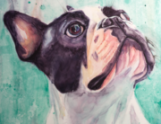 Boston Terrier in Watercolor