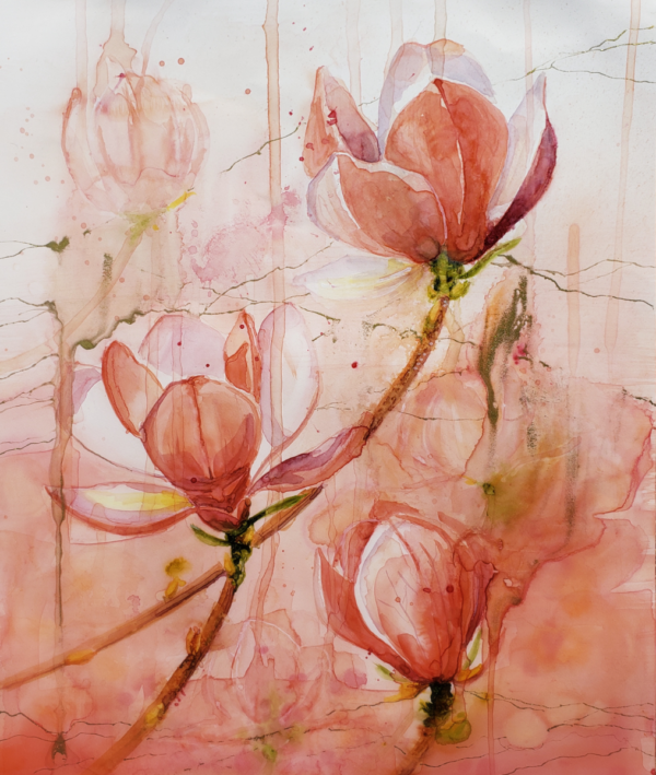 Magnolias in Watercolor